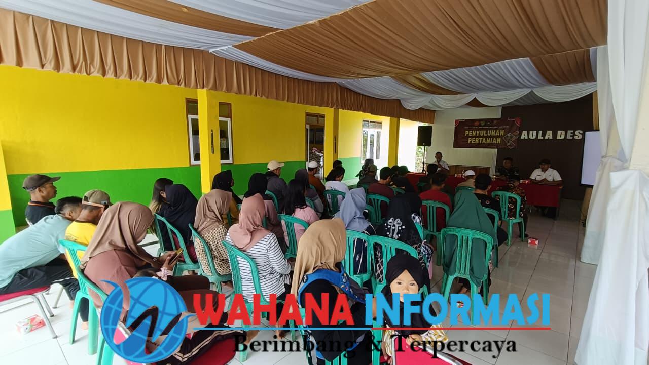 Satgas TMMD ke-125 Gelar Penyuluhan Pertanian,  Masyarakat Antusias Sekap Ilmu