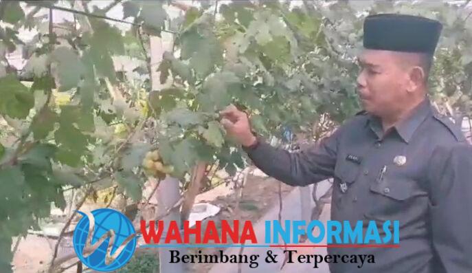 WhatsApp Image 2023-09-17 at 10.42.42