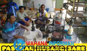 Screenshot_20240330_155132