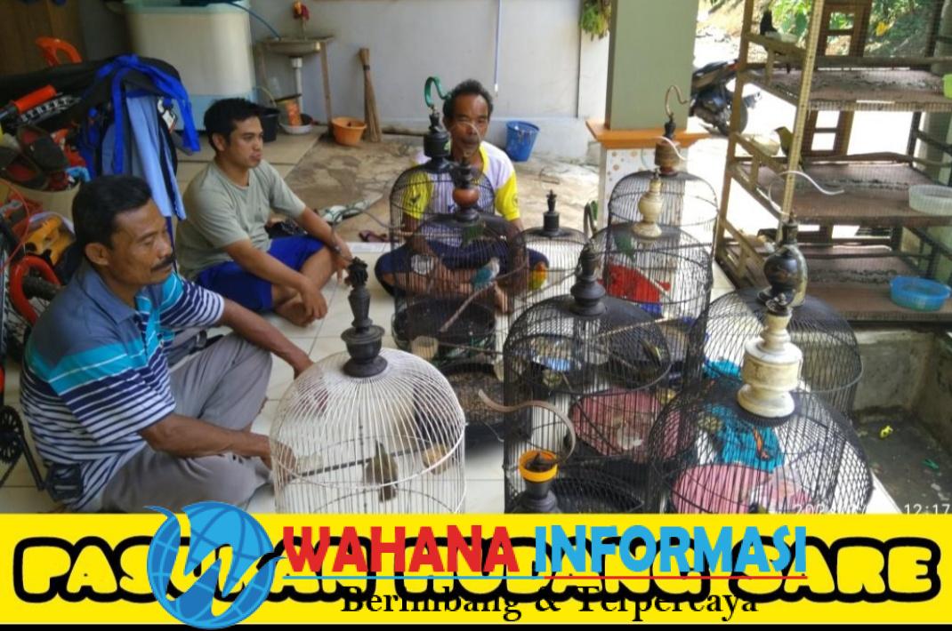 Screenshot_20240330_155132