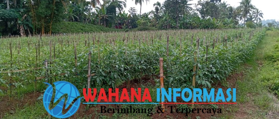 Screenshot_20240502_085401