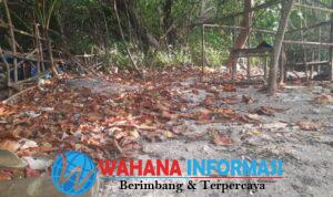 Screenshot_20240609_113717