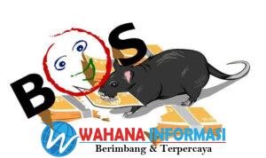 2023-01-30-biro-hukum-kemendikbud-jadi-saksi-ahli-kasus-korupsi-dana-bos-smkn-1-batam