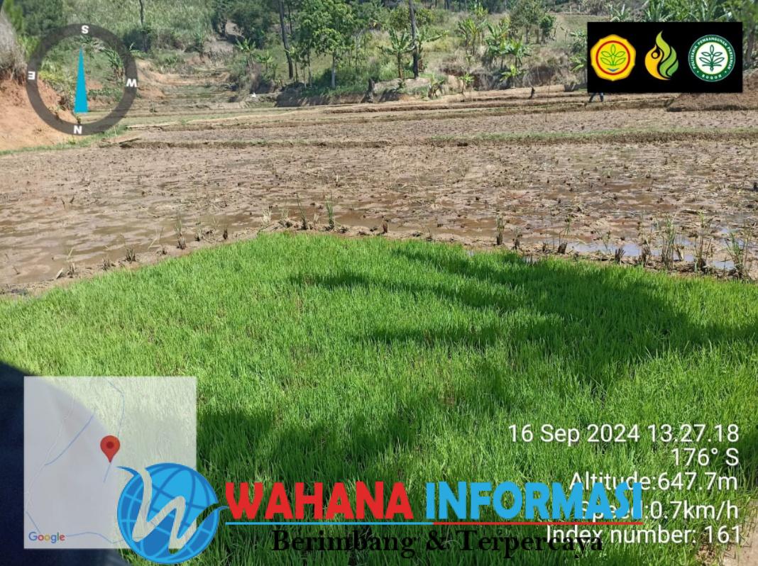 Screenshot_20240917_074840