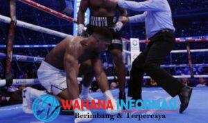 Screenshot_20240922_123157