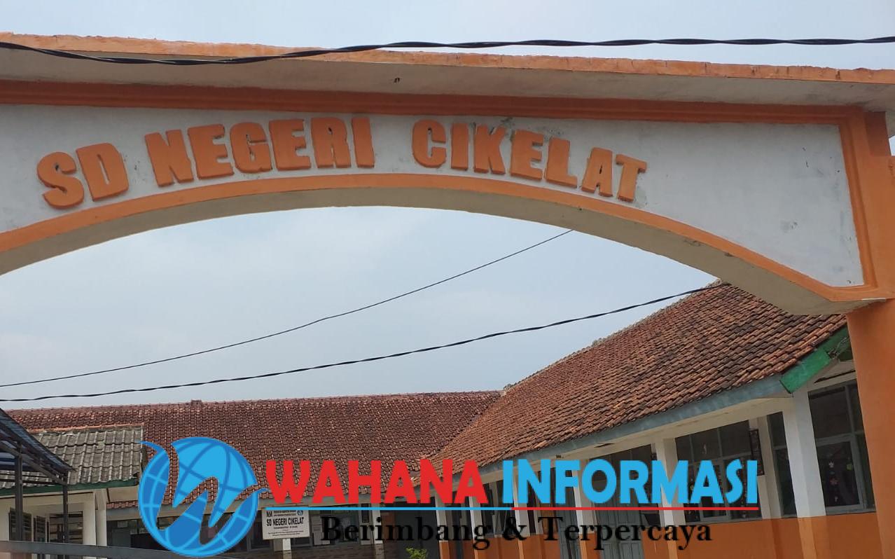 WhatsApp Image 2024-09-24 at 11.33.48