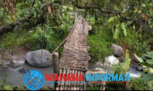 Screenshot_20241015_221645