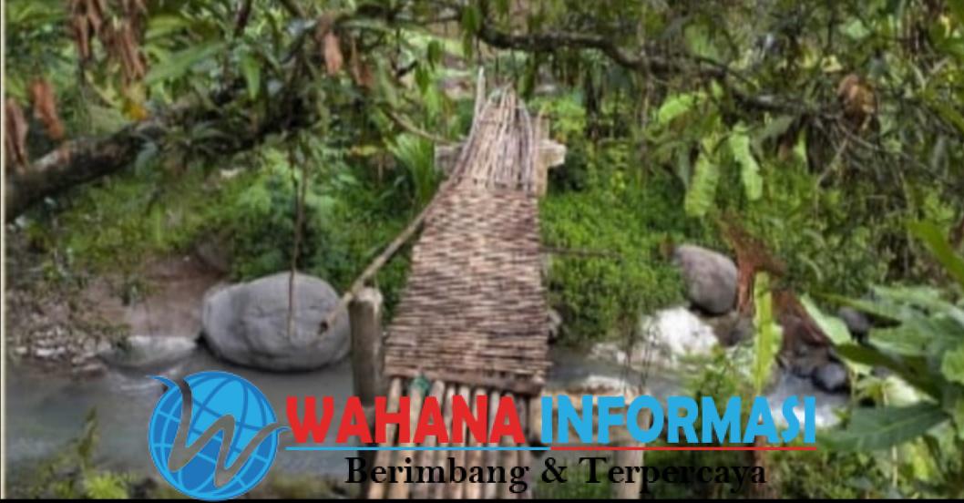 Screenshot_20241015_221645