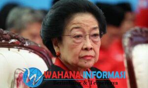 Screenshot_20241021_053420