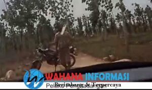 Screenshot_20241118_191339