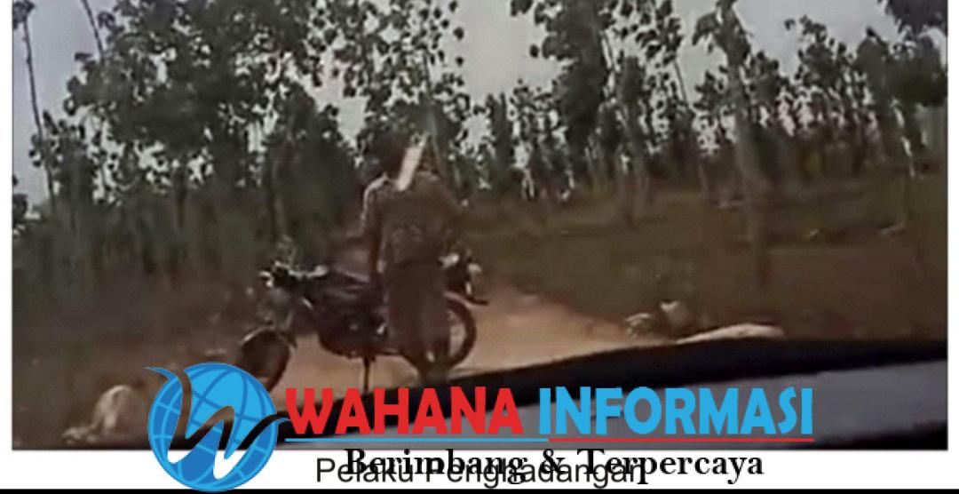 Screenshot_20241118_191339