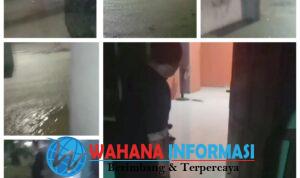 GridArt_20241202_113145525