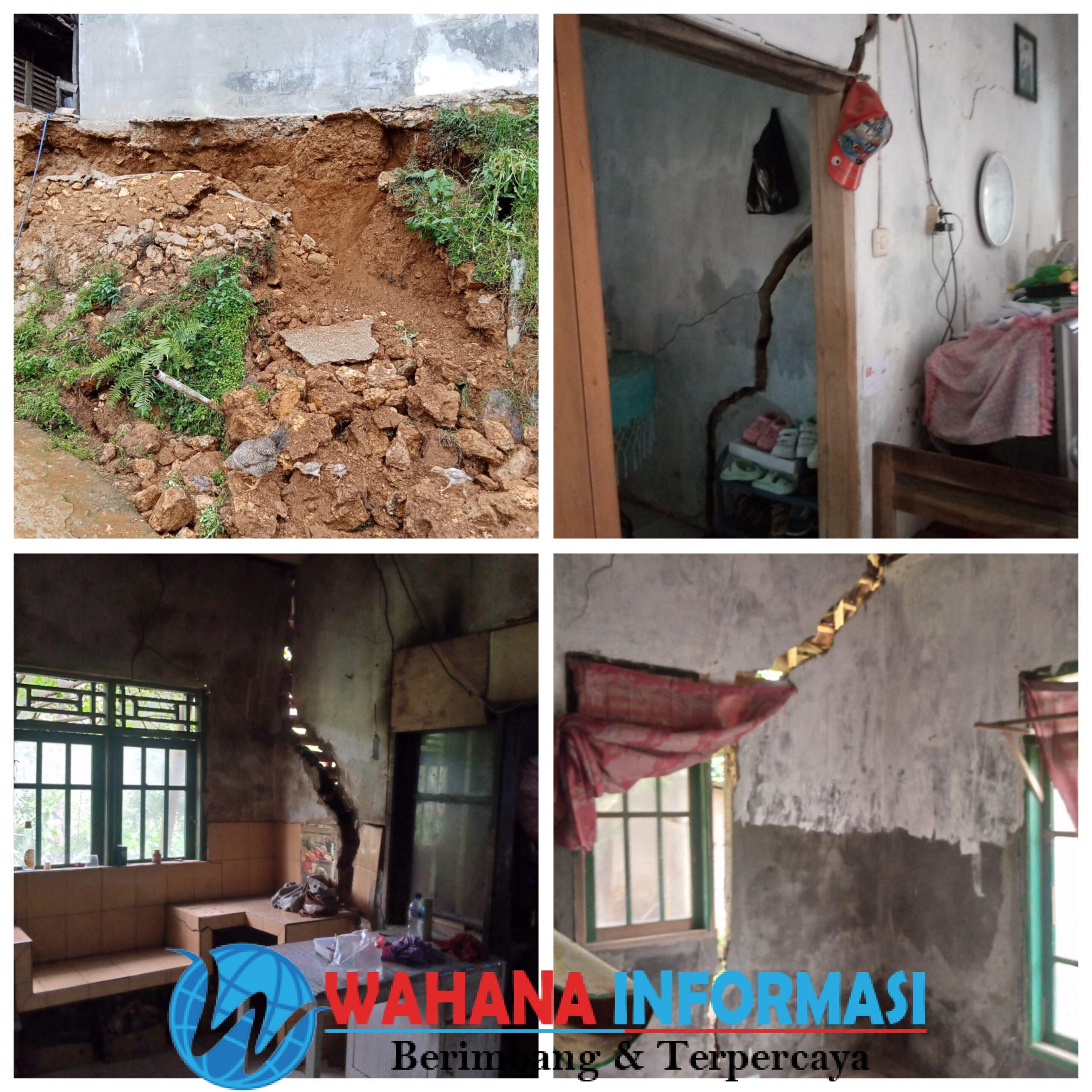 GridArt_20241205_152800141