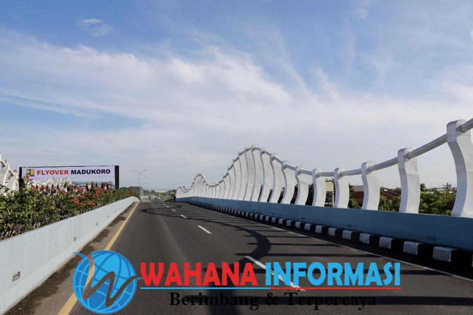 Screenshot_20241211_231619