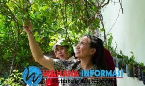 Screenshot_20241220_141551