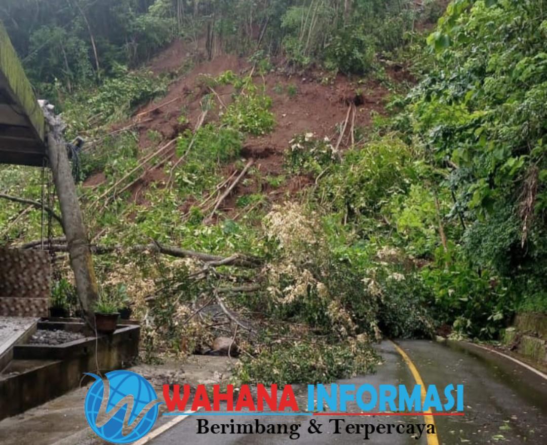 Screenshot_20241225_162302