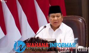 Screenshot_20241225_201636