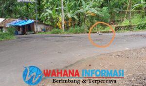 Screenshot_20241231_105012