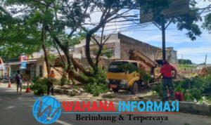 Screenshot_20250104_132928