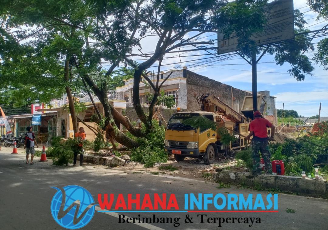 Screenshot_20250104_132928