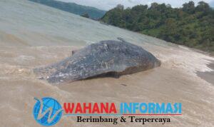 Screenshot_20250108_234321