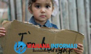 Screenshot_20250115_132813