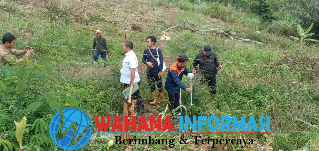 Screenshot_20250122_201753