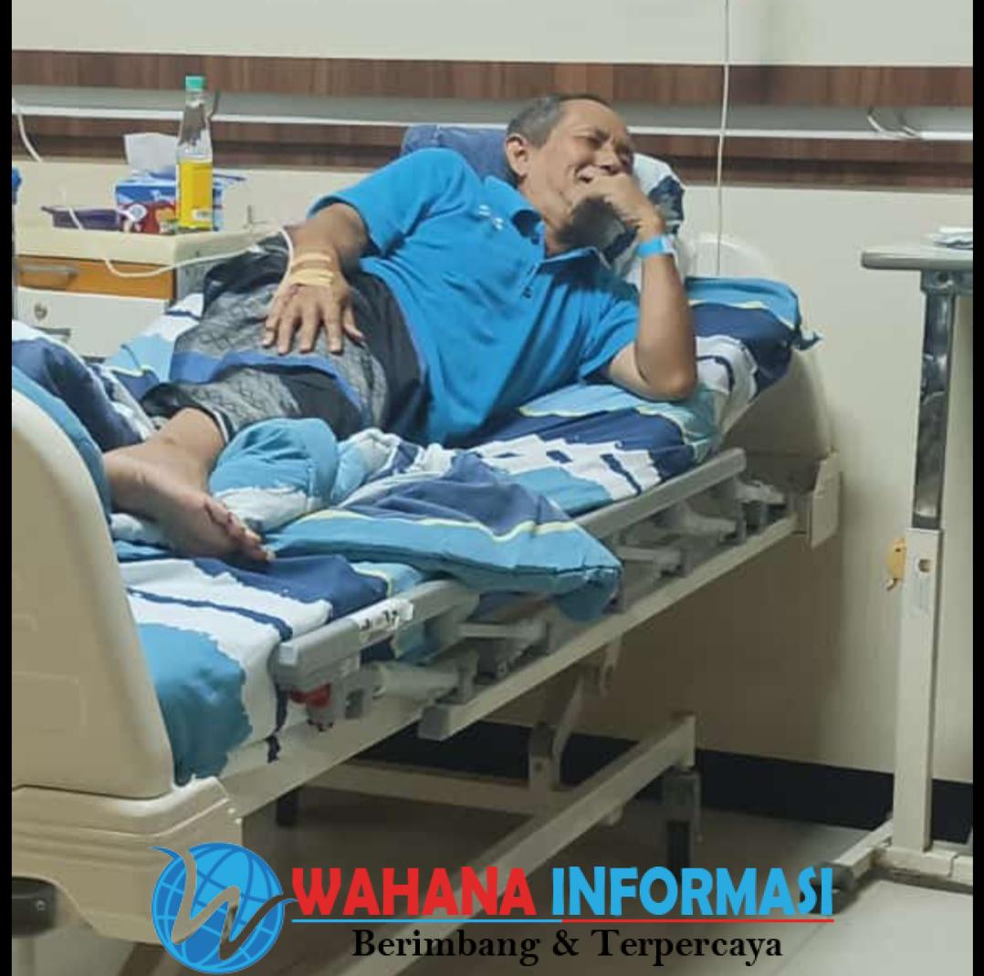 Screenshot_20250213_120237