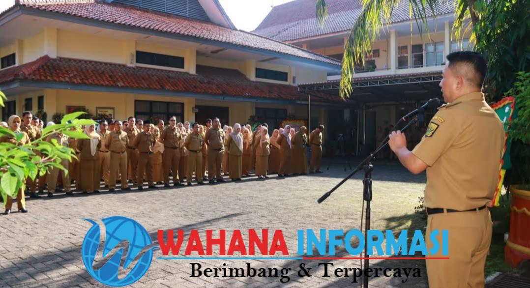 Screenshot_20250224_112552