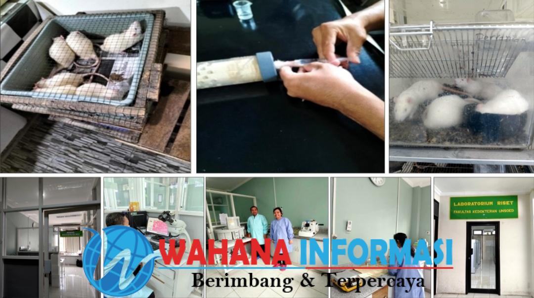 Screenshot_20250305_122129