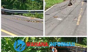 Screenshot_20250311_204843