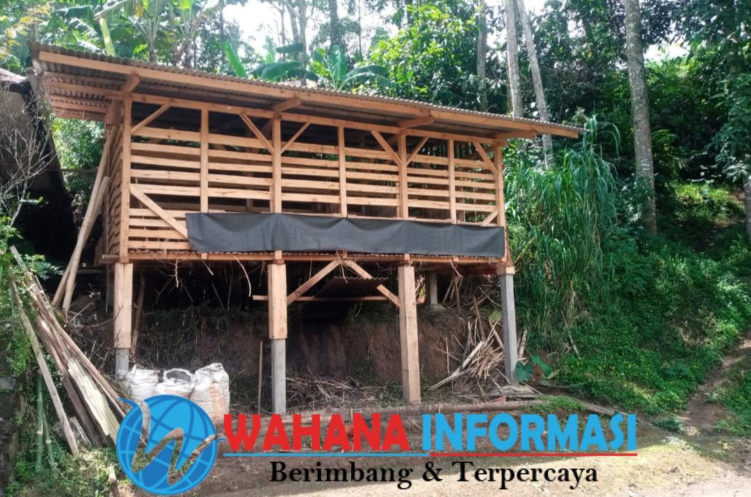 Screenshot_20250318_083511