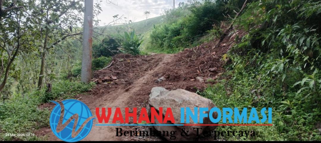 Screenshot_20250324_111438