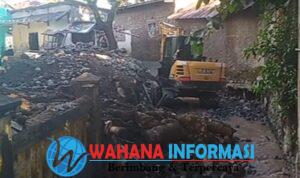 Screenshot_20250520_150353