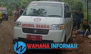 Screenshot_20250522_080322