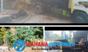 GridArt_20250628_154704326