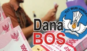 InShot_20250106_193748357-3534219577