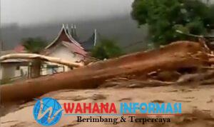 Screenshot_20251130_011328