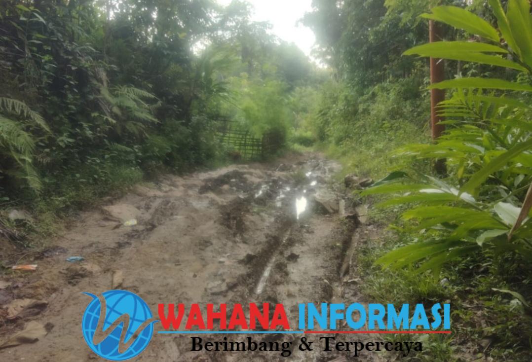 Screenshot_20260109_074244