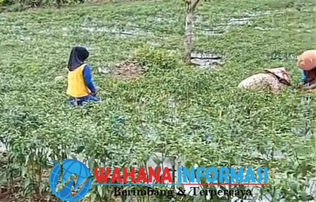 Screenshot_20260202_231051