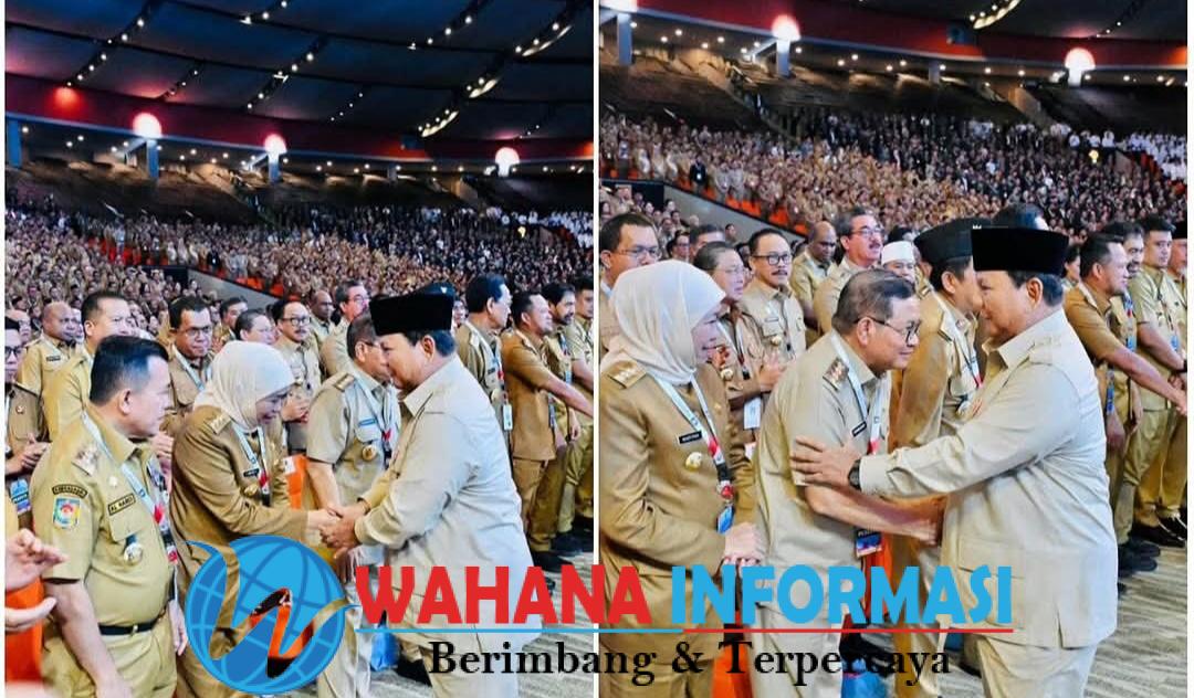 Screenshot_20260203_201406