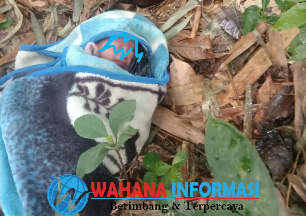 Screenshot_20260303_144620