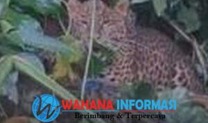 Screenshot_20260405_101200