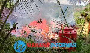 IMG-20260508-WA0015