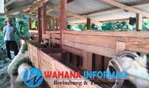 IMG-20260529-WA0004
