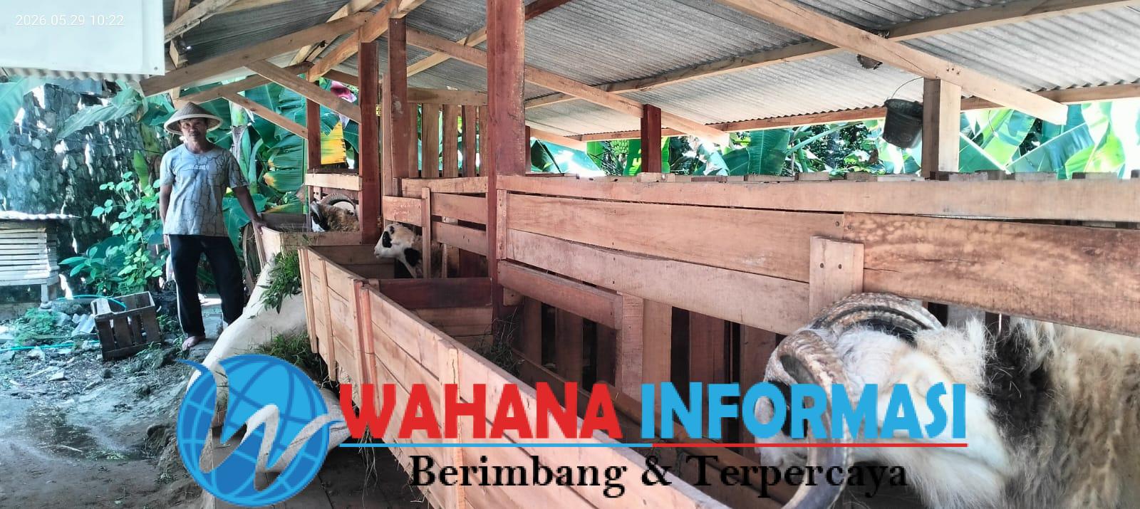 IMG-20260529-WA0004