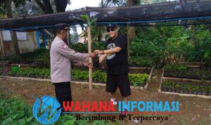 IMG-20260704-WA0099