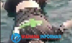 Screenshot_20261007_111303